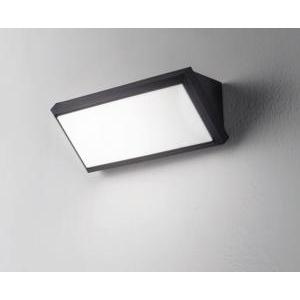 Lampada da parete e-sealed isyluce 306-12w 4000k ip65-antracite