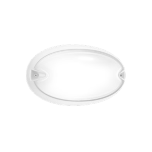 Anello di ricambio  chip ovale 25 per plafoniera bianco - 011765