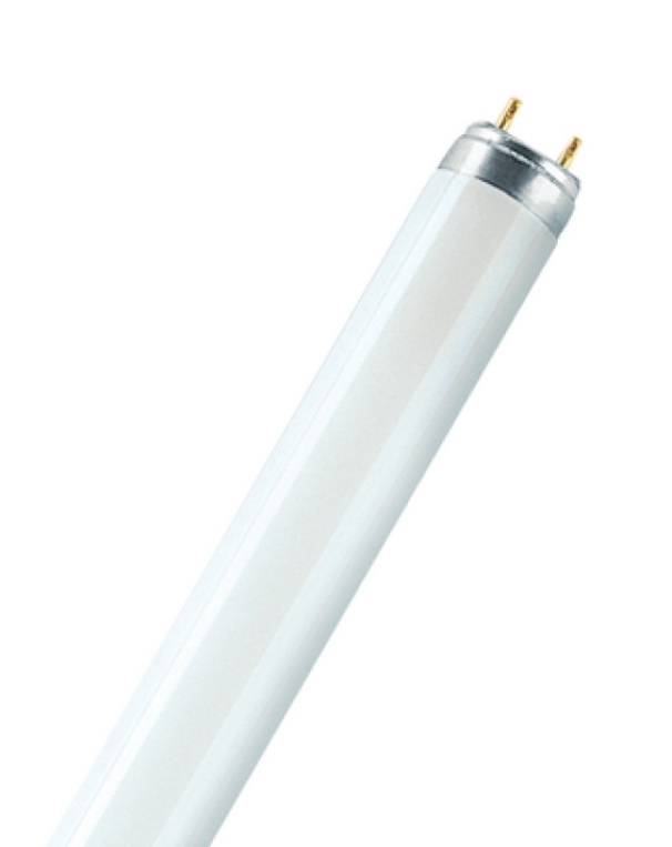 Lampada fluorescente T8 Ledvance G13 38.10W 3500K - L3676 01