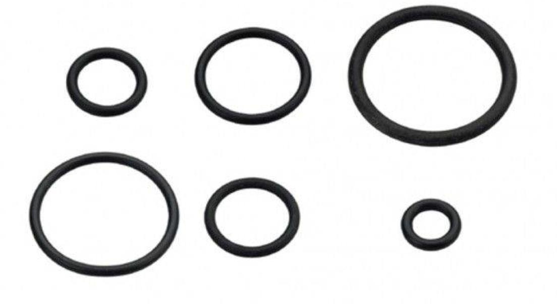 Guarnizioni Idro-Bric O-ring diametro 13mm nero 5pz - P0666 13 01