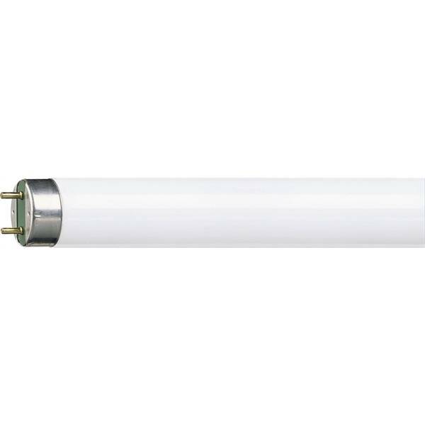 LAMP DINE TUBE NEON T8 36W 120CM COLD LIGHT 3686NG