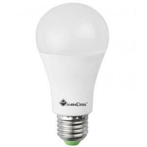 Lampadina pro-goccialed evo dimmerabile a65 16w 2700k e27 21332