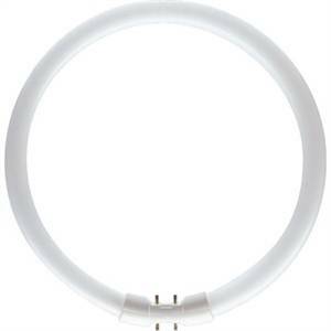 Lampadina circolina fluorescente tl5 60w d40 luce naturale tl5c6084