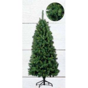 Albero slim  28809402-578 rami