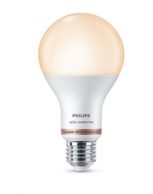 philips consumer lampadina led a67 philips consumer 929002449621 37252800-e27 13w  2700-6500k - foto 1