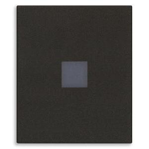 Tasto intercambiabile con diffusore  linea 2m nero - 31000a.2dg