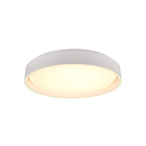 Plafoniera led  felis 24w 2700-6500k bianco opaco - r64391031