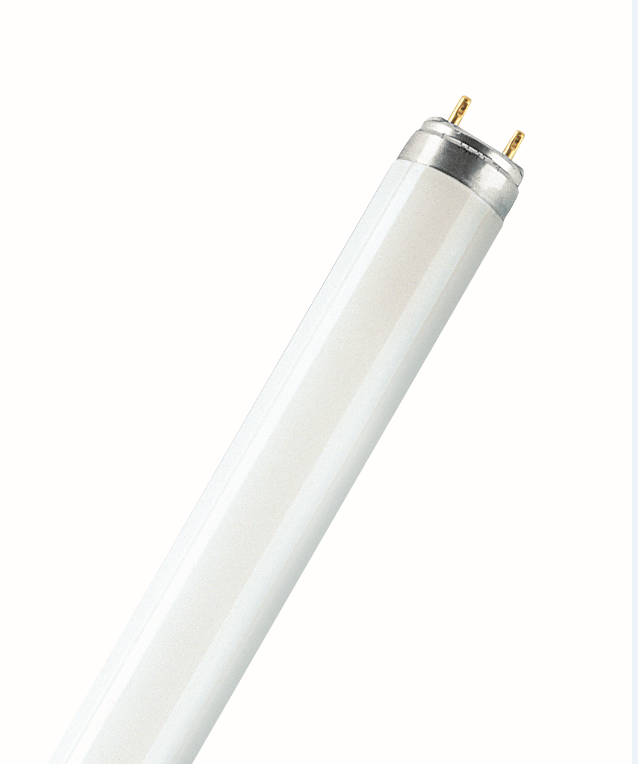 Lampada fluorescente L 15 W/840 4000 K Ledvance - L15840 01