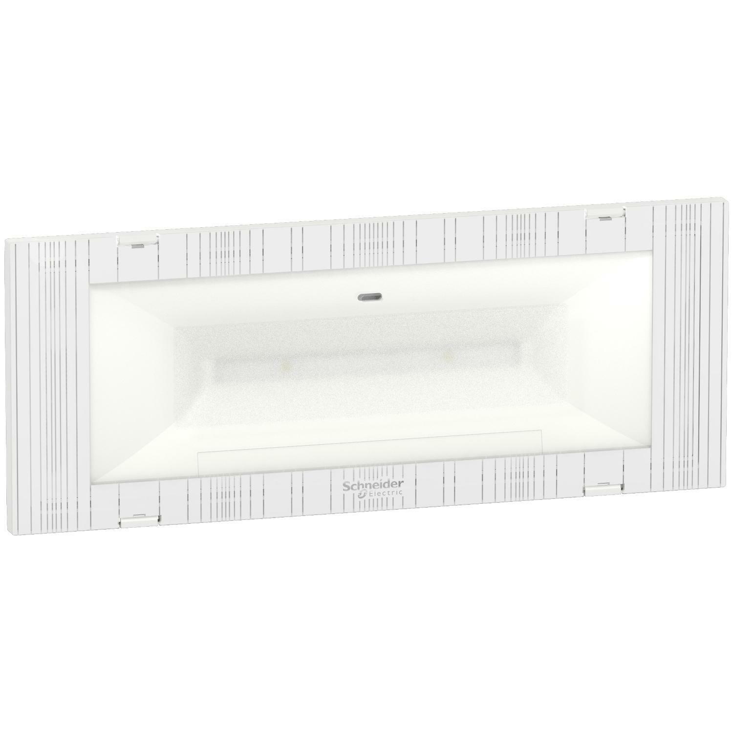 schneider electric plafoniera d'emergenza exiway-easyled 120lm per esterno ip40 ova38365 - foto 1