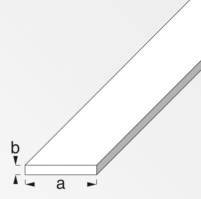 Barra piatta Alfer Aluminium spessore 2mm da 2m argento - 05010 02