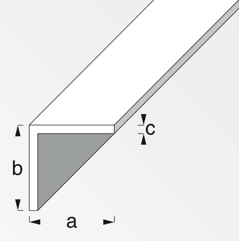 Canala angolare con lati uguali Alfer Aluminium 10x10x1mm 2m argento - 05040 02