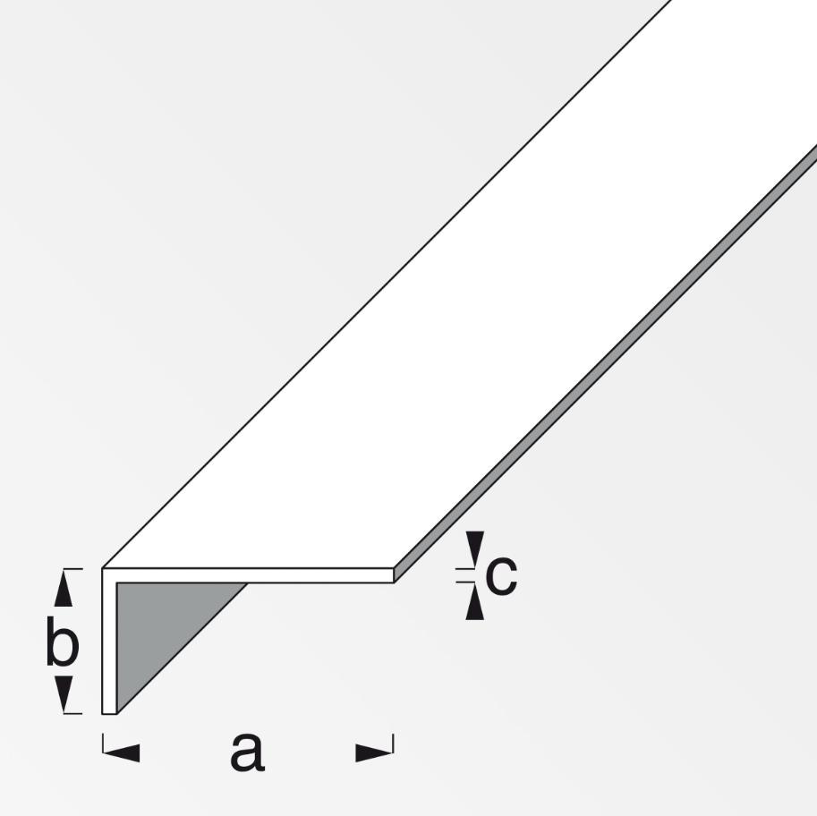 Canala angolare Alfer Aluminium 20x10x1.5mm lunghezza 1m argento - 01050 02