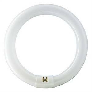 Lampadina circolina fluorescente c10q 32w d30 luce calda e3283n