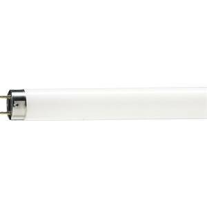 Lampadina tubo neon per alimenti t8 36w 120cm luce naturale 3679